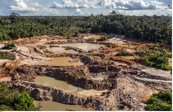 Arv desmatamento garimpoemterraindigAM ibama