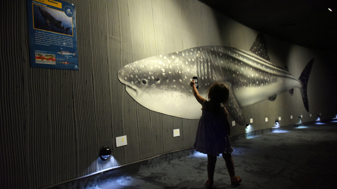 Corredor interno e escuro do AquaRio com uma grande ilustração de um tubarão-baleia ocupando quase toda a parede. Uma criança pequena, de vestido roxo, está de pé diante do desenho e levanta um celular para fotografar ou filmar o animal ilustrado. Pequenas luzes embutidas no chão iluminam levemente a área, e há uma placa informativa sobre o tubarão-baleia fixada na parede.